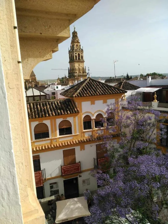 La Casa De La Musica Apartment Cordoba Spain